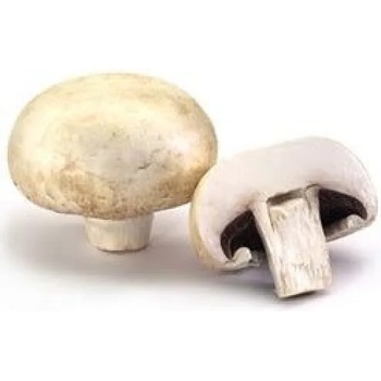 Гъби култивирана печурка 250гр. тарелка - България