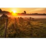 DIMEX ART Флизелинов фототапет мъглив английски пейзаж 375 x 250 см