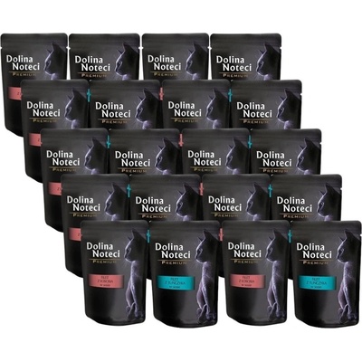 Dolina Noteci Prémiové filé Fish Mix príchutí 20 x 85 g