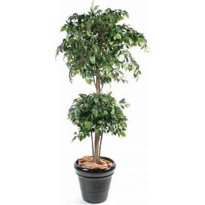 Umelý strom Fíkus Double Ball, 150cm
