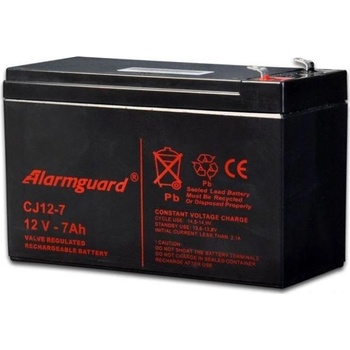 Alarmguard 12V 2,9Ah CJ12-2,9H