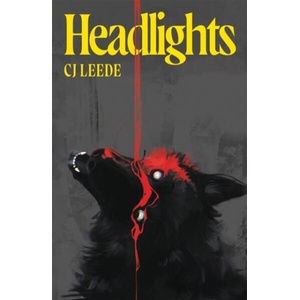Headlights (ISBN: 9781037410130)