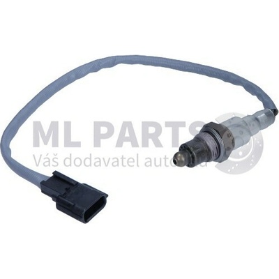 Originál OEM 22 69 063 93R