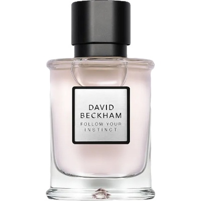 David Beckham Follow Your Instinct parfumovaná voda pánska 50 ml