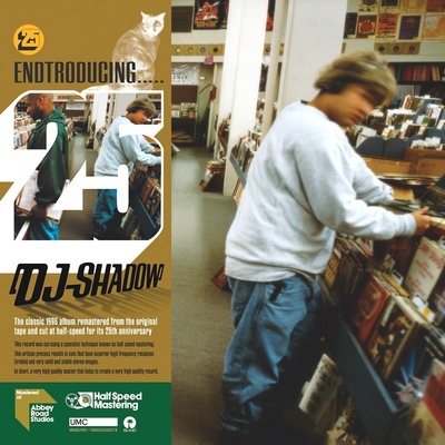 DJ Shadow - Endtroducing 2 LP
