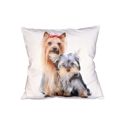 Forbyt Yorkshirský teriér 40 x 40 cm