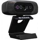 Kodak Access Webcam
