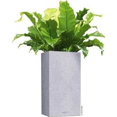 Lechuza Samozavlažovací kvetináč plastový Canto Stone 30 x 30 x 56 cm sivý