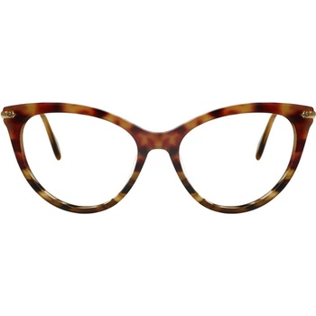 Loretto 8032 C2