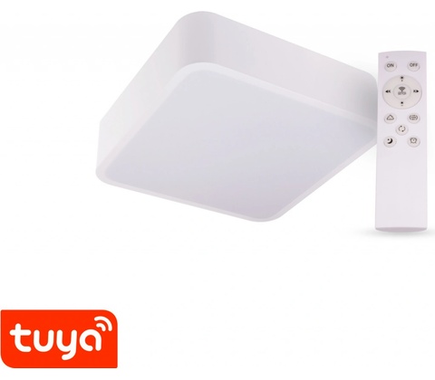 Tuya 105467