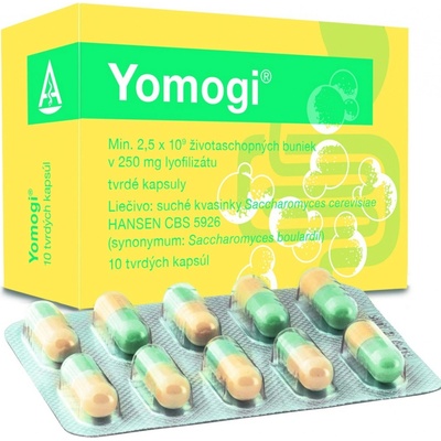 Yomogi cps.dur.10 x 250mg