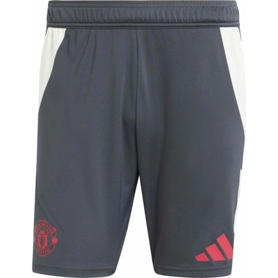 Adidas MANCHESTER UNITED EU Training carbon
