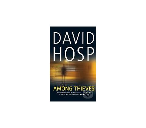 Among Thieves - David Hosp