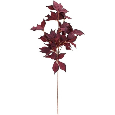 KONÁR LISTY BORDOVÉ 84CM