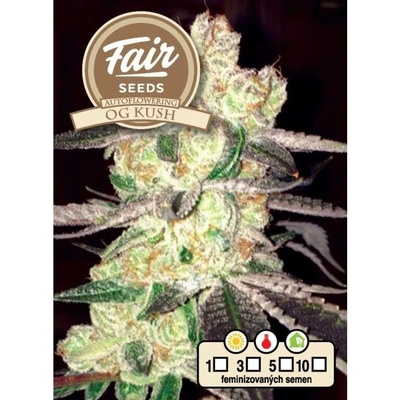 Fair Seeds AUTO OG Kush semena neobsahují THC 10 ks
