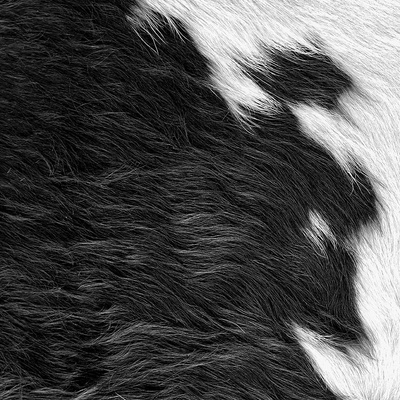 Fototapeta na zeď čtvercový vzor telecí kůže 357241, role 0,5 x 9 m Luxury Skin, Origin