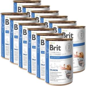 Brit Брит Ветеринарни Диети GF котка + куче Възстановяване сьомга 12 x 400 г
