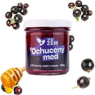 LYO černý rybíz v medu 180 g - ZEZEM
