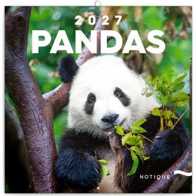 Poznámkový Pandy nástěnný 2027