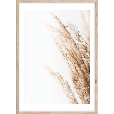 Obraz 50x70 cm Beige II – Styler