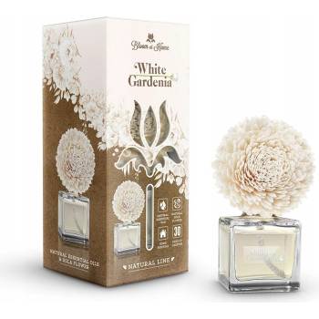 Elix difuzér 100 ml