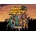 SHOCK TROOPERS