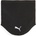 Puma Winterized
