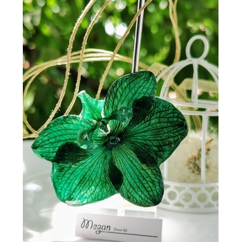 Meganflo Смарагдова Орхидея 3DeLuxe