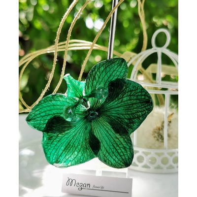 Meganflo Смарагдова Орхидея 3DeLuxe