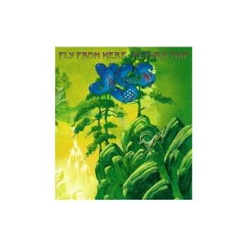 Yes: Fly From HereReturn Trip BD