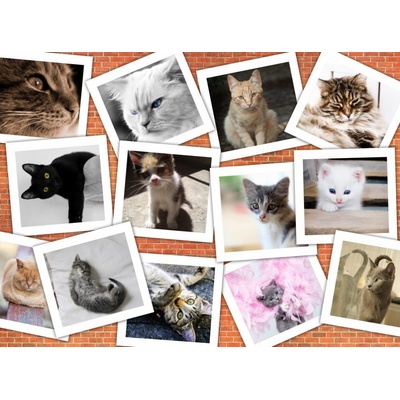 Grafika Cats 2000 dielov