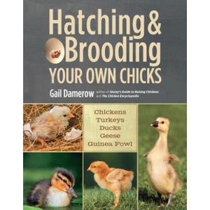 Hatching & Brooding Your Own Chicks (2013)