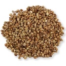 Ochutnej Ořech konopné semínko NELOUPANÉ 500 g