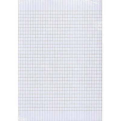 Еко Белан Карирана хартия - 100 л. Офсет