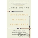 Affluence Without Abundance