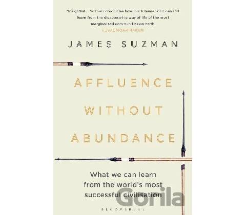 Affluence Without Abundance