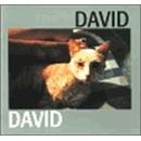 David Jiří David