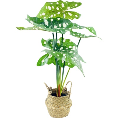 Home Styling Collection Umělá květiná v košíku ALOCASIE, 51 cm, zelená zelený