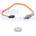 Lambda sonda DELPHI ES21312-12B1