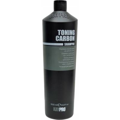 Kaypro šampon pro regeneraci a hydrataci 1000 ml