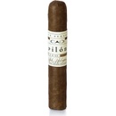 CAO Pilon Robusto