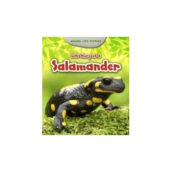 Life Story of a Salamander - Guillain Charlotte