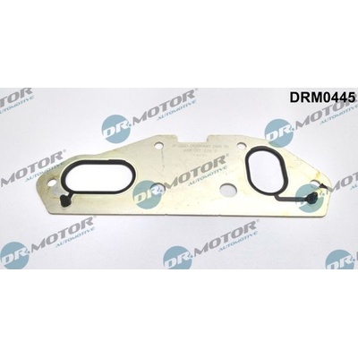 Sada tesnení kolena nasávacieho potrubia Dr.Motor Automotive DRM0381S