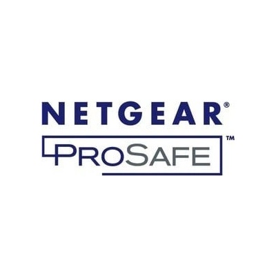 Netgear GSM7328FL-10000S
