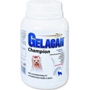 Vitamíny a doplnky stravy pre psov Orling Gelacan Champion psi barevná plemena 150 g
