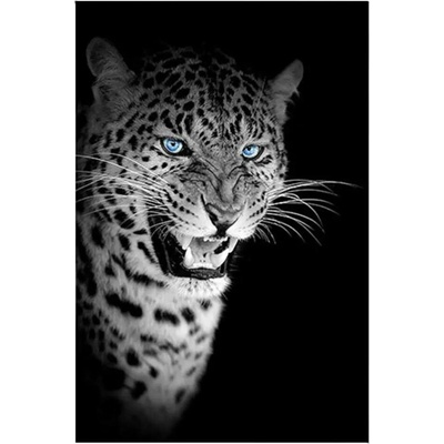 MORIMPEX Obraz plátno Jaguár, 60x90 cm