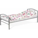 AUTRONIC BED 1900 SIL