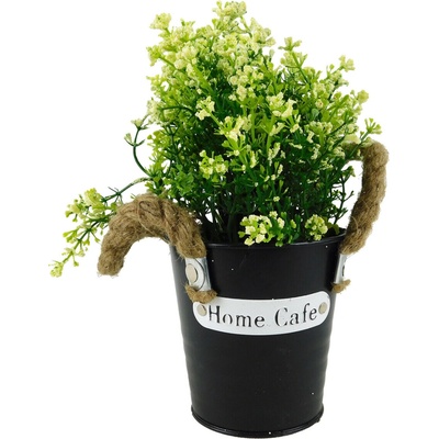 MAKRO - Sukulent 23cm rôzne farby