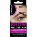 Syoss Brow Tint farba na obočie odtieň Light Brown 10 ml