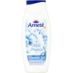 Ameté SG 500ml Семейство мечти